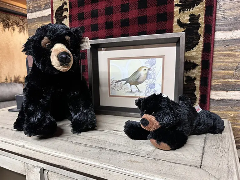 Bears